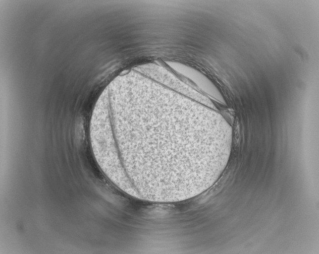 X0000114430128200911271625