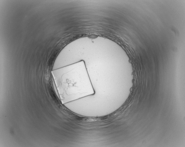 X0000114430129200911271625