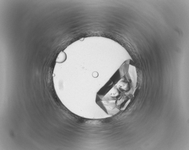 X0000114430133200911271625
