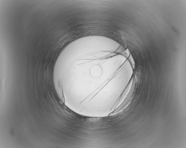 X0000114430136200911271625