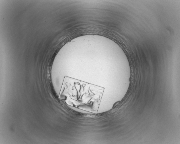 X0000114430137200911271625