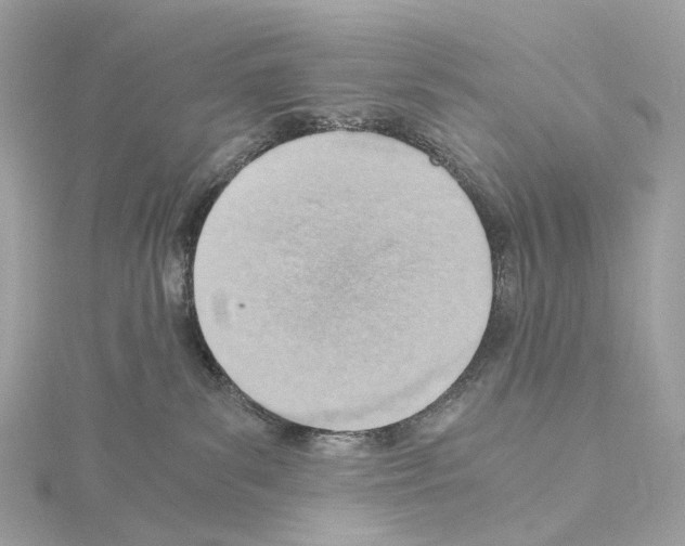 X0000114430139200911271625
