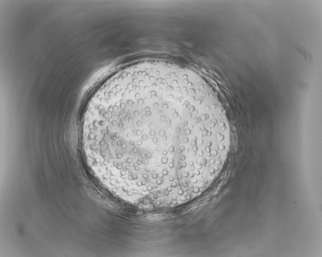 X0000114430149200911271624