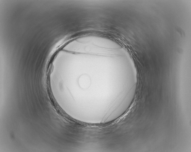 X0000114430150200911271624