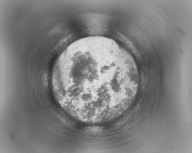X0000114430161200911271624