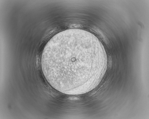 X0000114430169200911271625