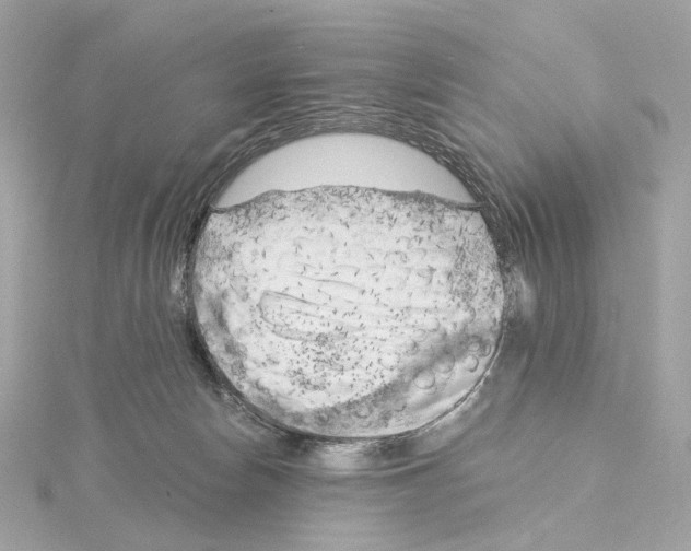 X0000114430178200911271625