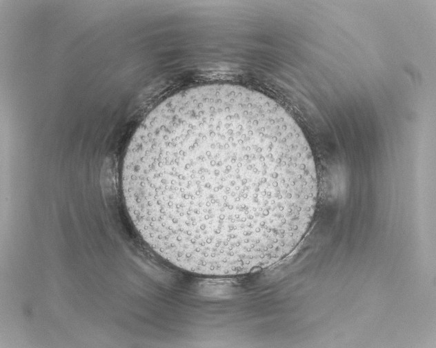 X0000114430179200911271625