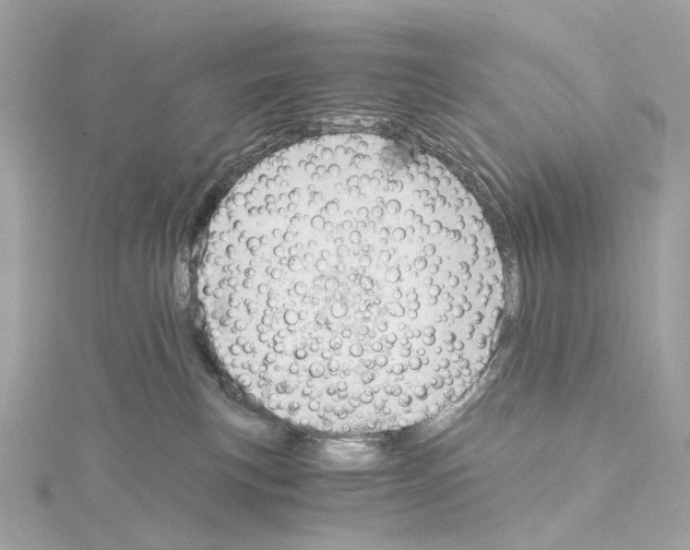 X0000114430183200911271625