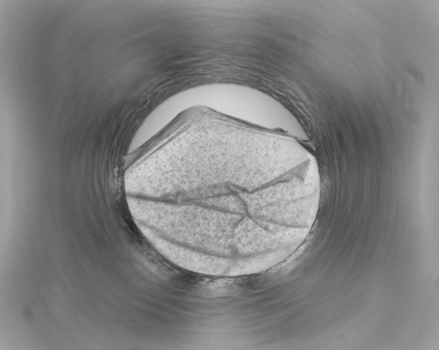 X0000114430186200911271625