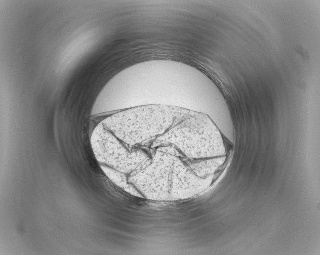 X0000114430190200911271625