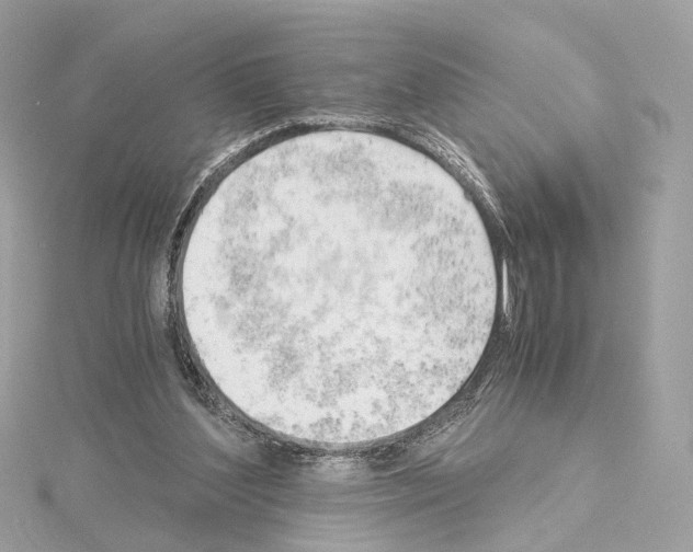 X0000114430204200911271624