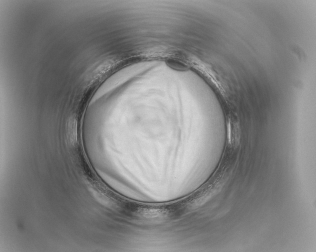 X0000114430205200911271624