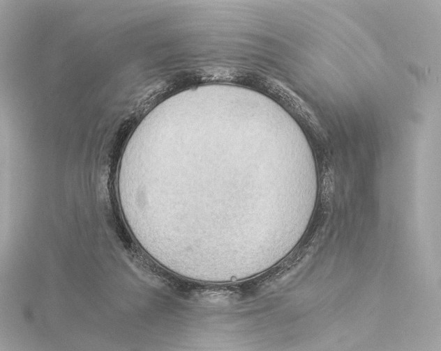 X0000114430209200911271624