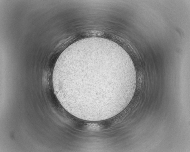 X0000114430218200911271624