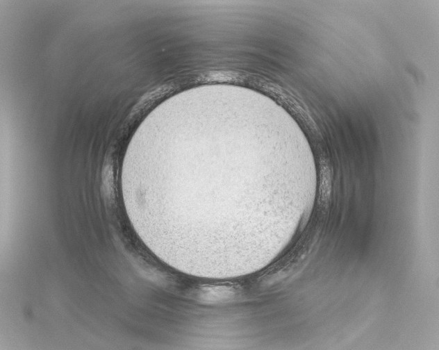 X0000114430220200911271624