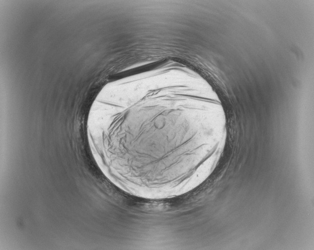 X0000114430225200911271624
