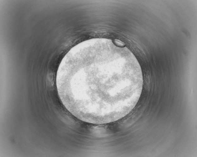 X0000114430232200911271624