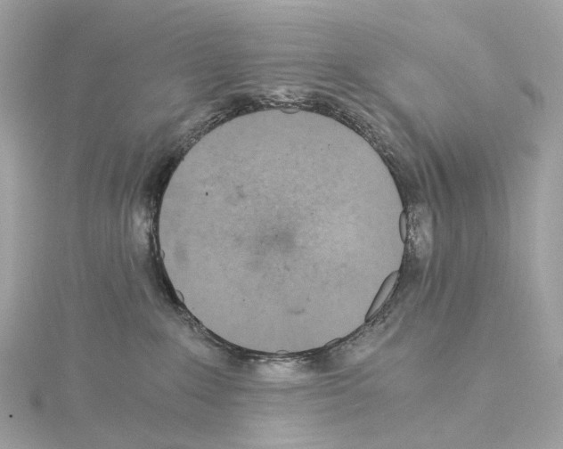 X0000114430235200911271624
