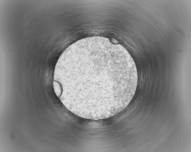 X0000114430236200911271624