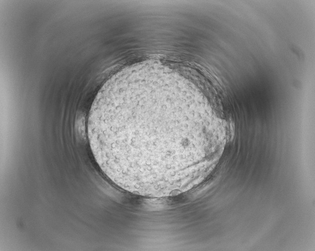 X0000114430238200911271624