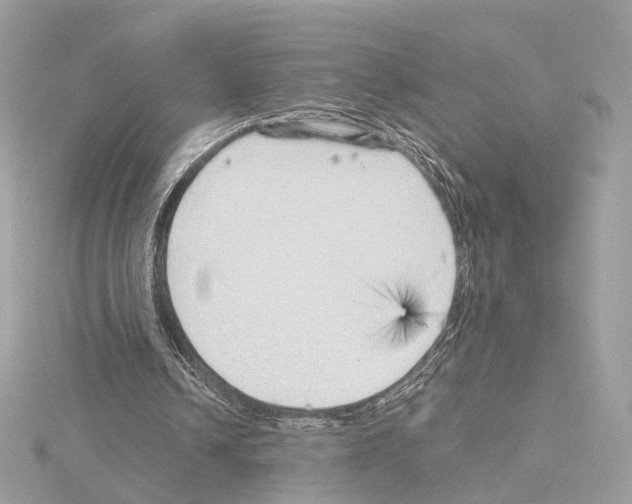 X0000114430242200911271623