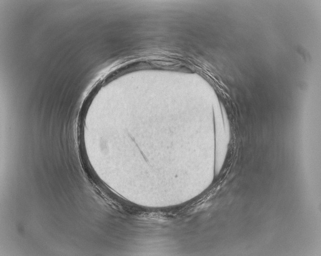 X0000114430244200911271623