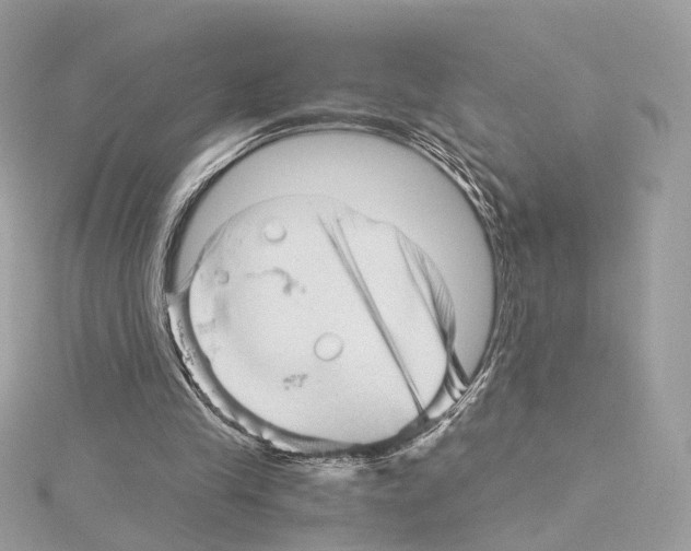 X0000114430245200911271623