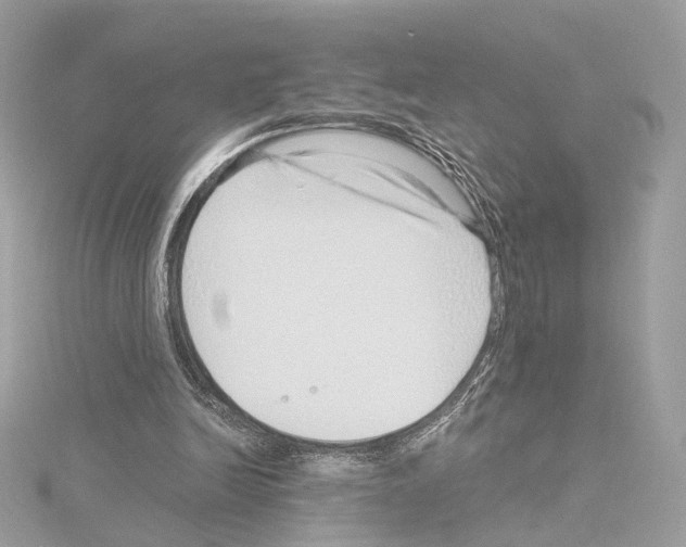 X0000114430246200911271623