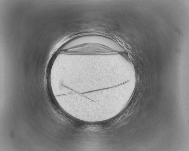 X0000114430248200911271623