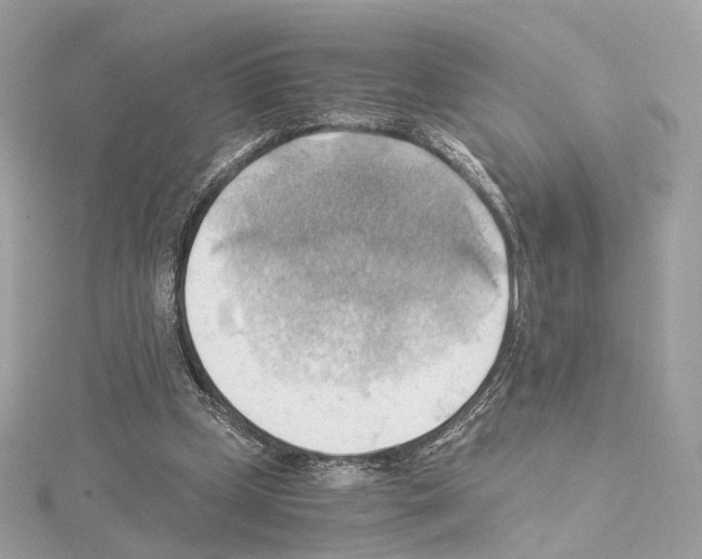 X0000114430249200911271623