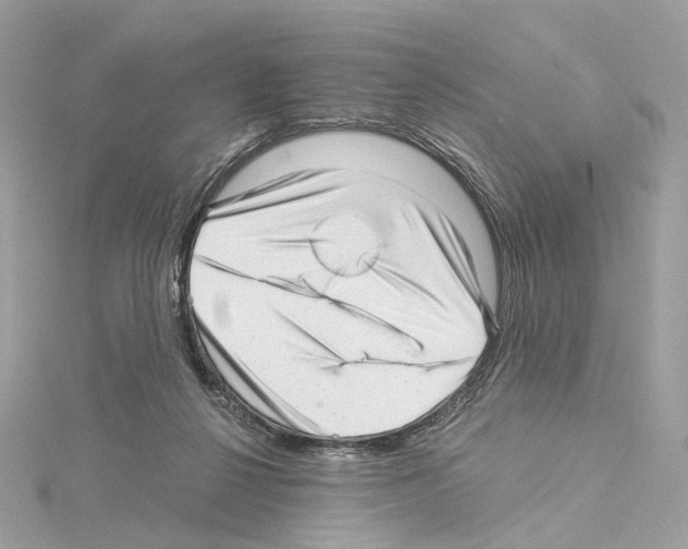X0000114430264200911271623