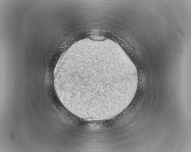 X0000114430272200911271623