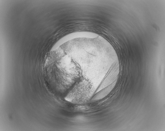 X0000114430277200911271623