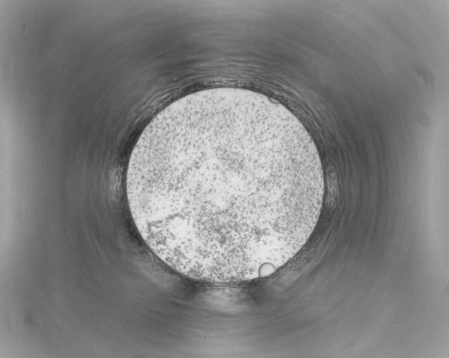 X0000114430278200911271623