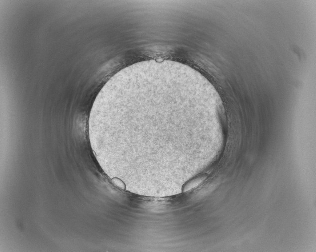 X0000114430288200911271624