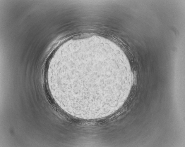 X0000114430291200911271623