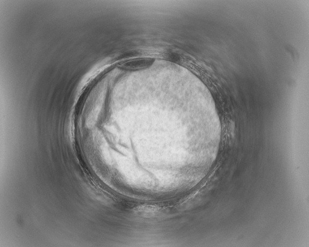 X0000114430294200911271623
