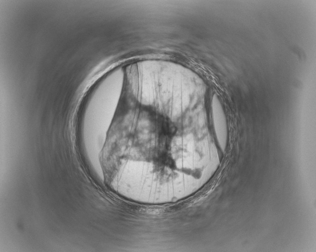 X0000114430295200911271623