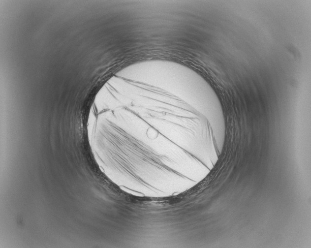 X0000114430320200911271623