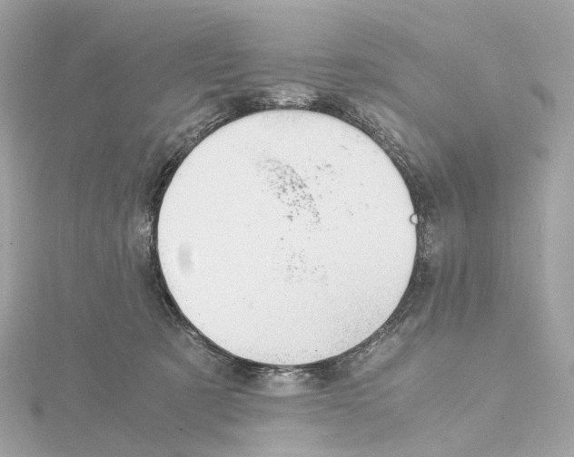 X0000114430321200911271623