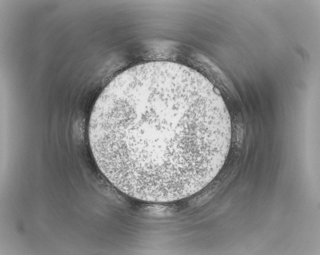 X0000114430326200911271622