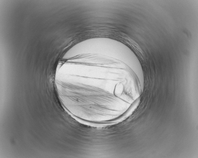X0000114430329200911271622