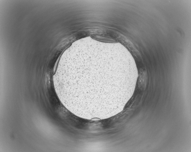 X0000114430333200911271622