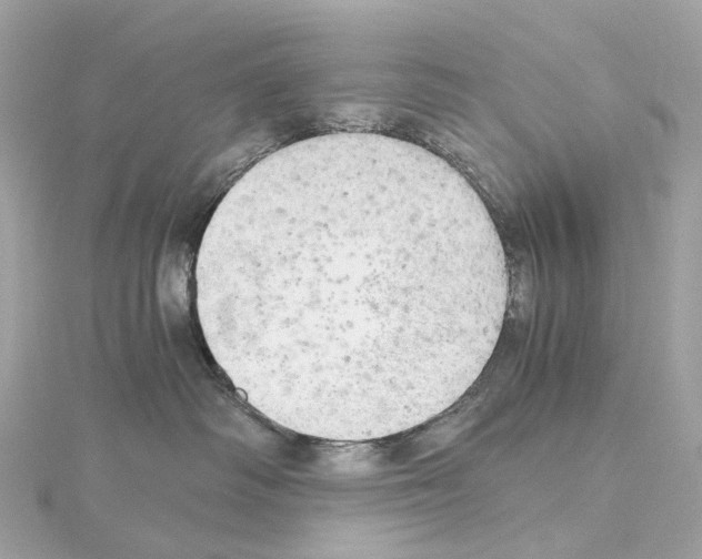 X0000114430334200911271622