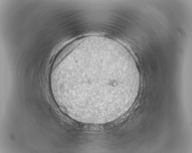 X0000114430337200911271622