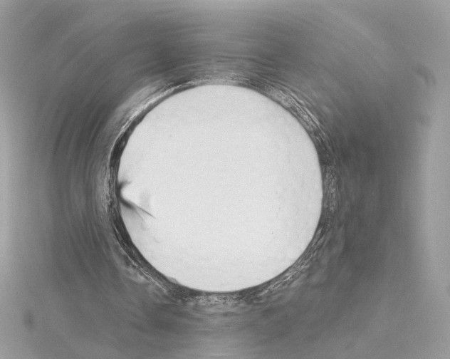 X0000114430338200911271622