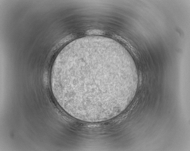X0000114430353200911271622