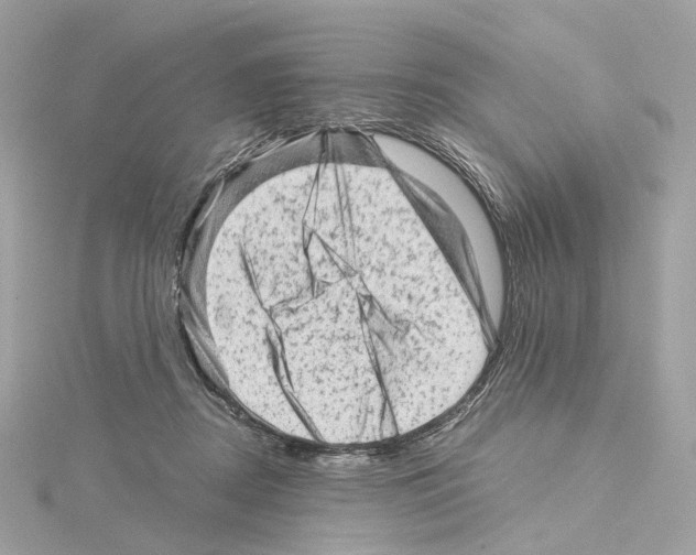 X0000114430362200911271622