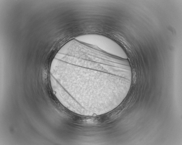 X0000114430365200911271622